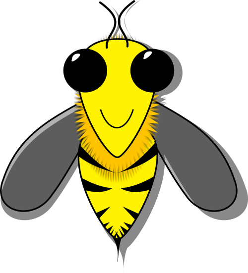 honey bee bee comb