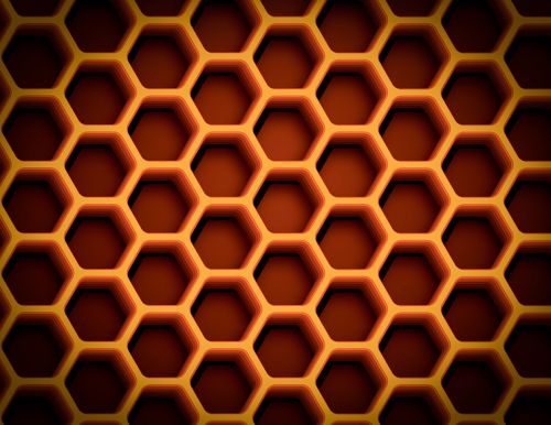 honeycomb bee creative