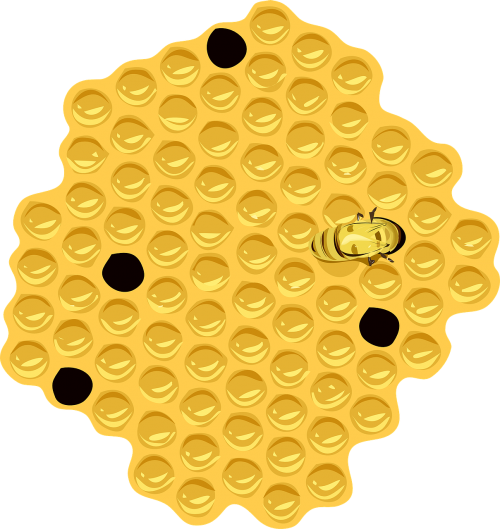 honeycomb bee hive