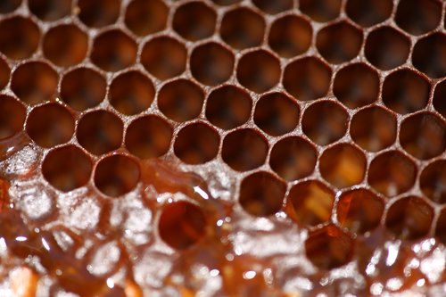 honeycomb  beeswax  honey