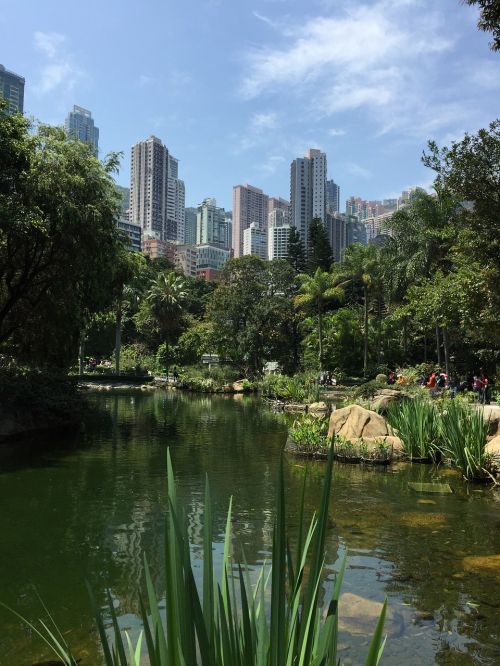 hong kong park pond