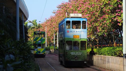hongkong tram urban