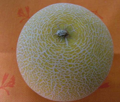 Cantaloupe