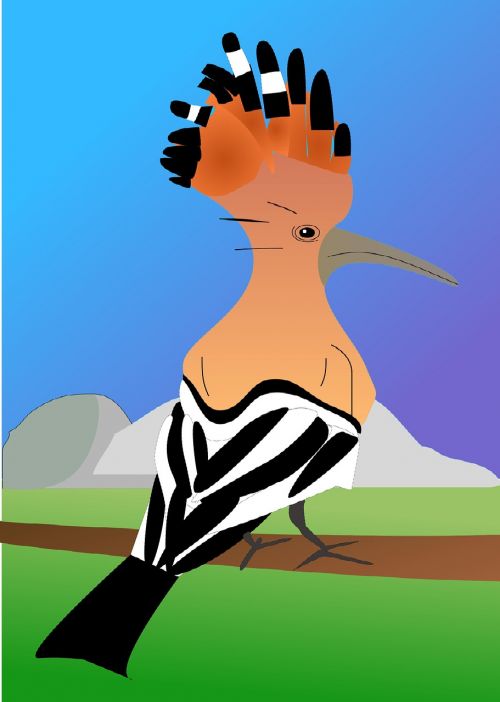 hoopoe bird breeding bird