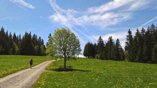 hope spring hiking