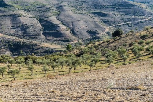 horizon landscape plateau