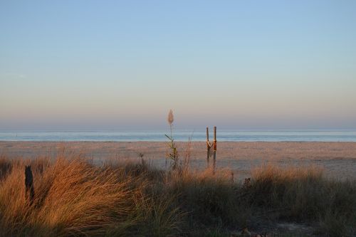 horizon sea beach