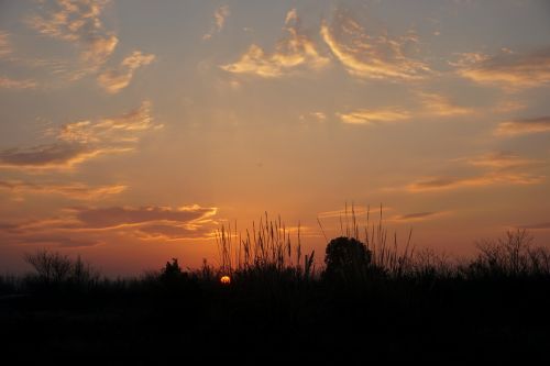 horizon country nature