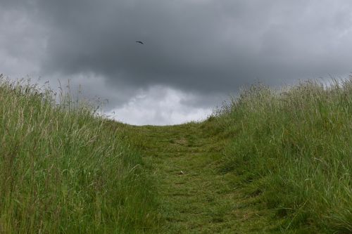 horizon grass cloud