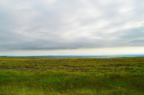 horizon  grassland  storm