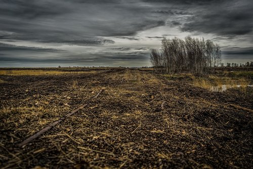 horizon  dark  landscape