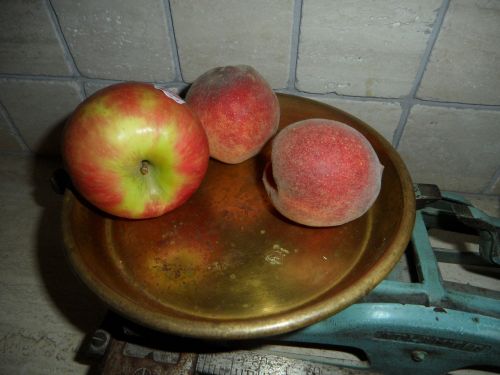 horizontal pan fruit