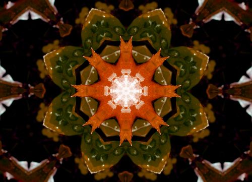 Horizontal Abstract Orange