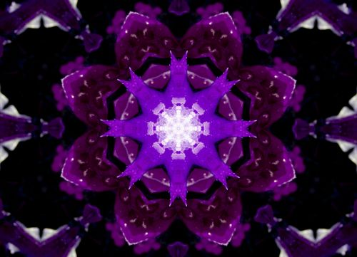 Horizontal Abstract Purple