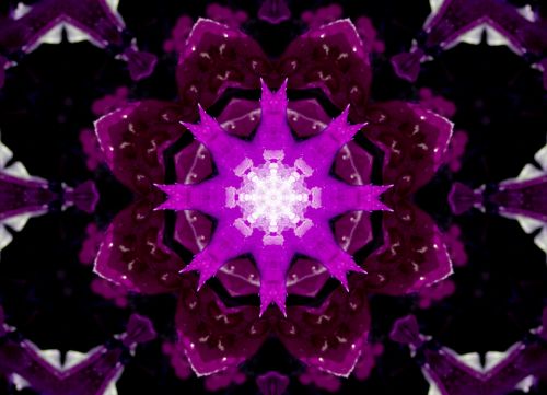 Horizontal Abstract Violet