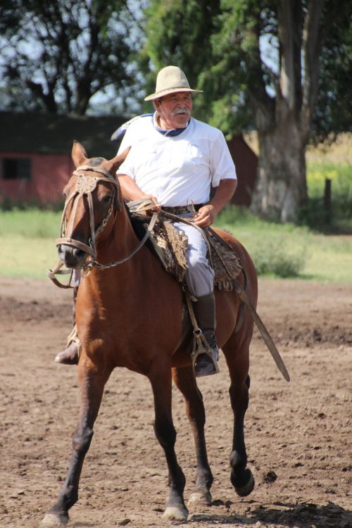 horse rider argentina