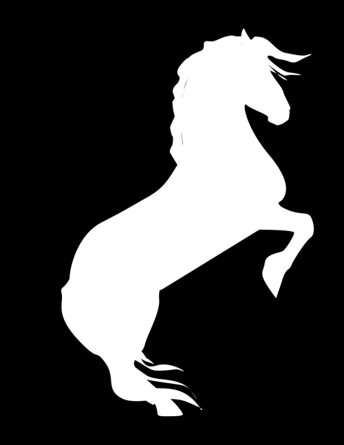 horse black on white black and white