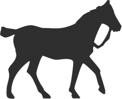 horse gallop equestrian