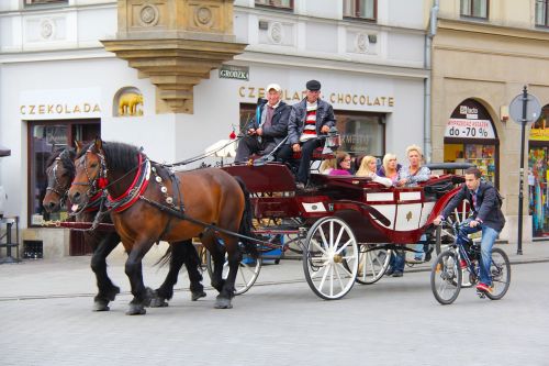 horse horse ride carriages