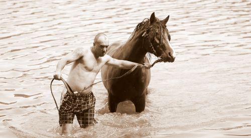 horse man water