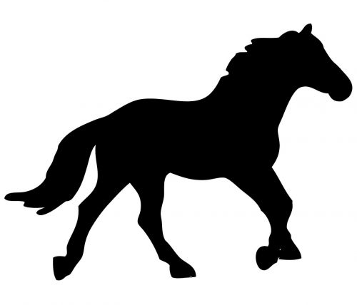horse equine animal
