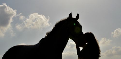 horse sunset kiss