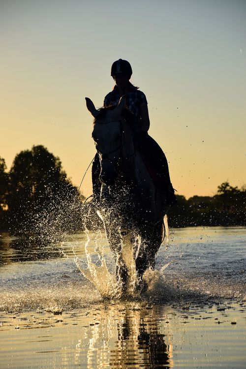 horse ride water