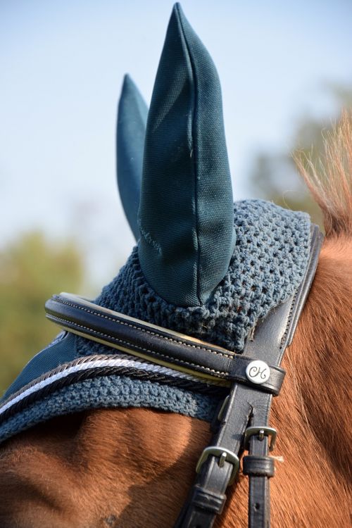 horse ears flying hat