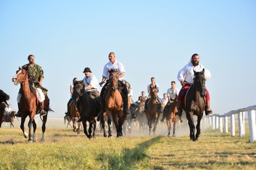 horse tradition rider