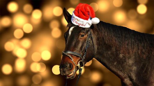 horse christmas santa hat