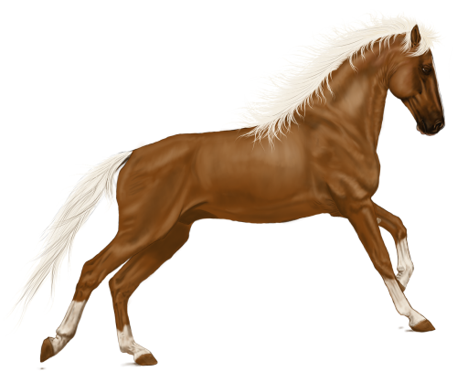 horse art digital artwork