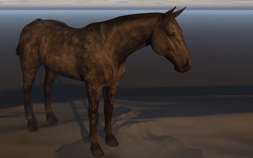 horse landscape brown