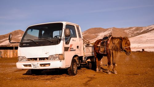 horse vehicle car