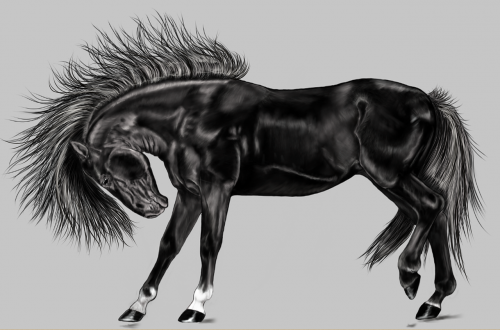 horse black digital painting