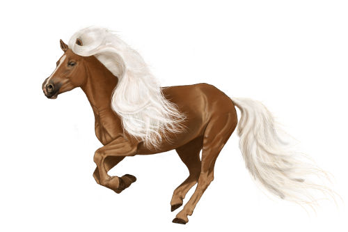 horse digital painting art