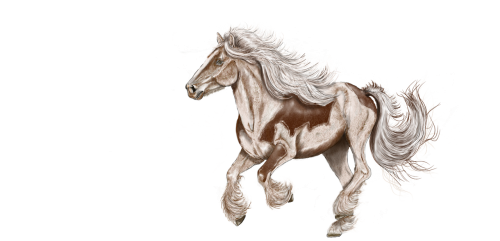 horse digital painting drawing