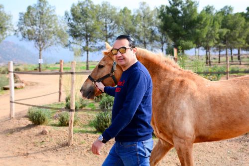 horse atlas mountains