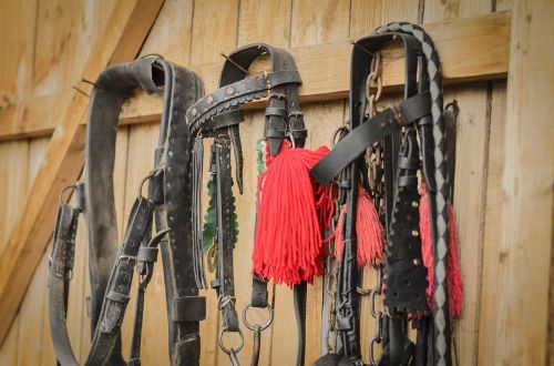 horse tool harness