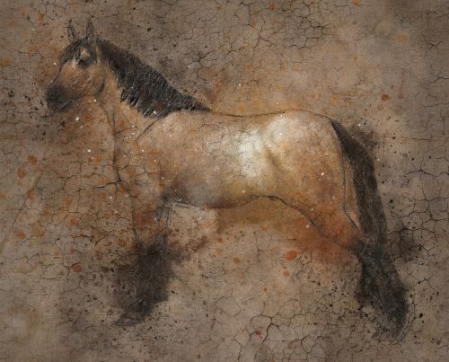horse art abstract