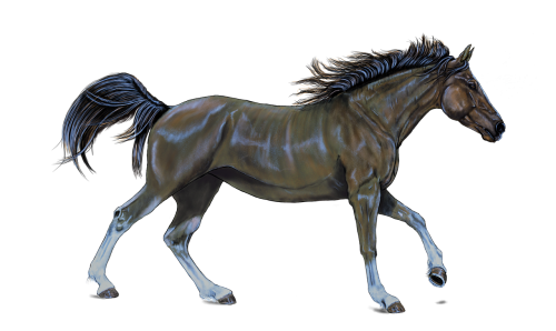 horse brown digital artwork
