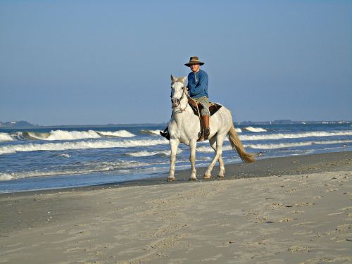 horse beira mar beach