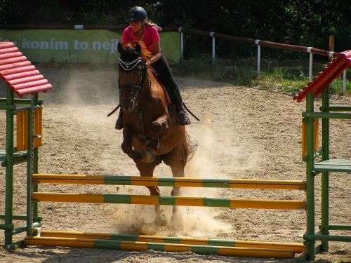 horse horse riding jumping