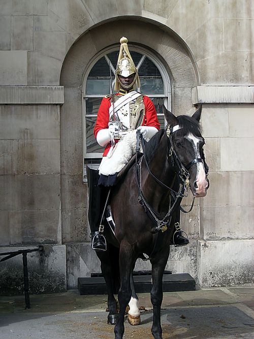 horse guard london