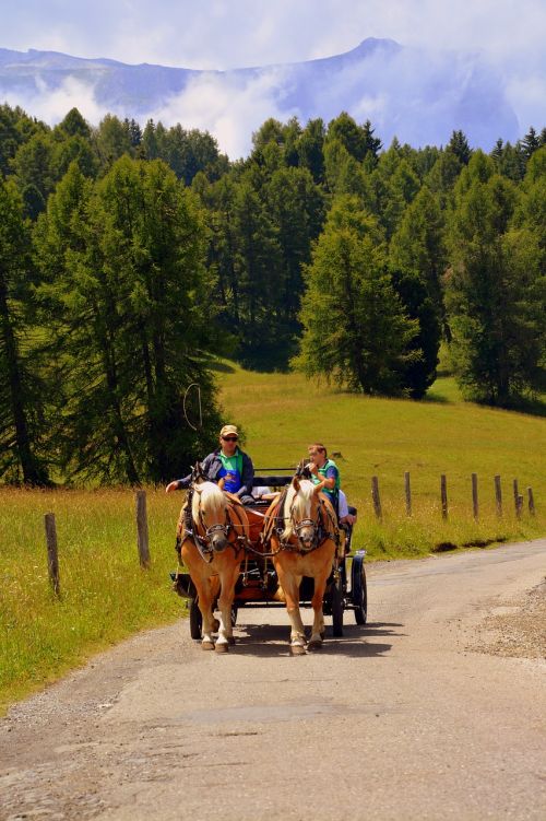 horse calash carrozza