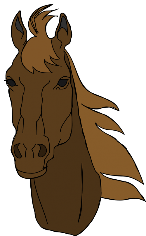 horse head face