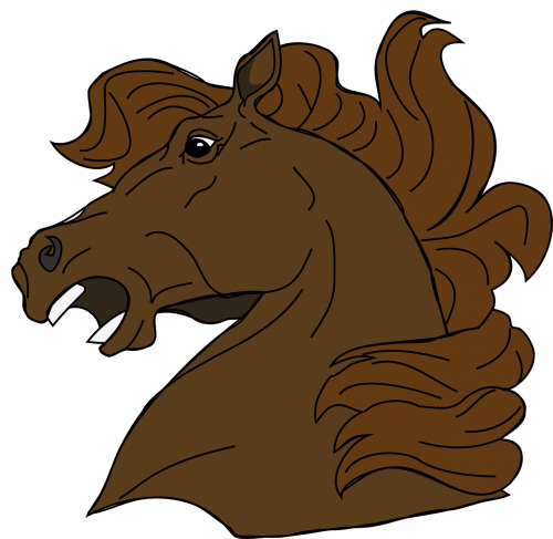 horse head cartoon