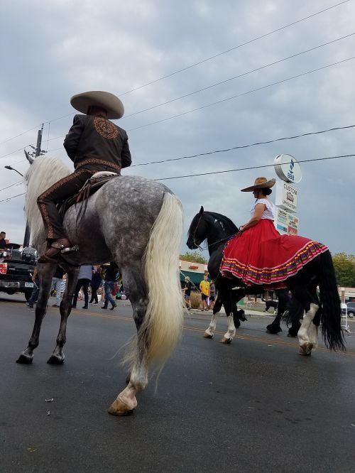 horse mexican parade