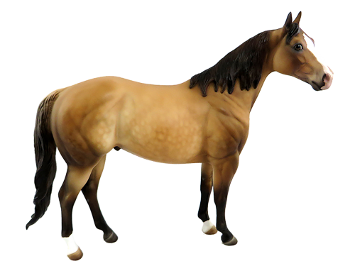 horse brown isolated