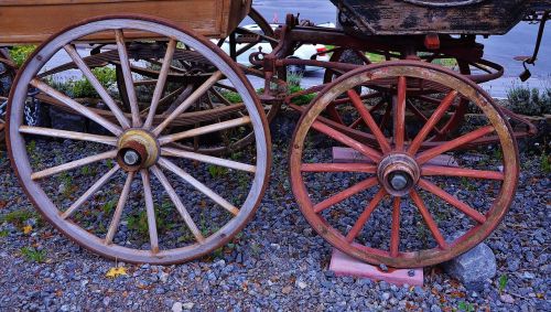 horse carrige travel