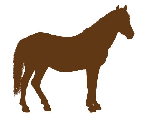horse brown shape